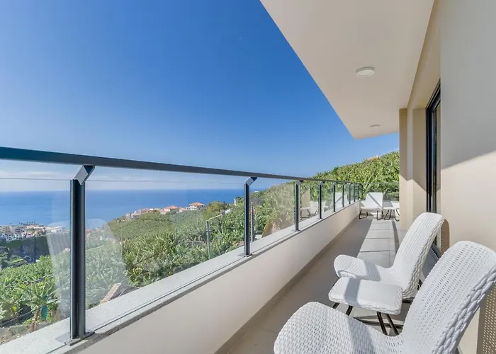 Banana Tree 卡马拉-德洛布什